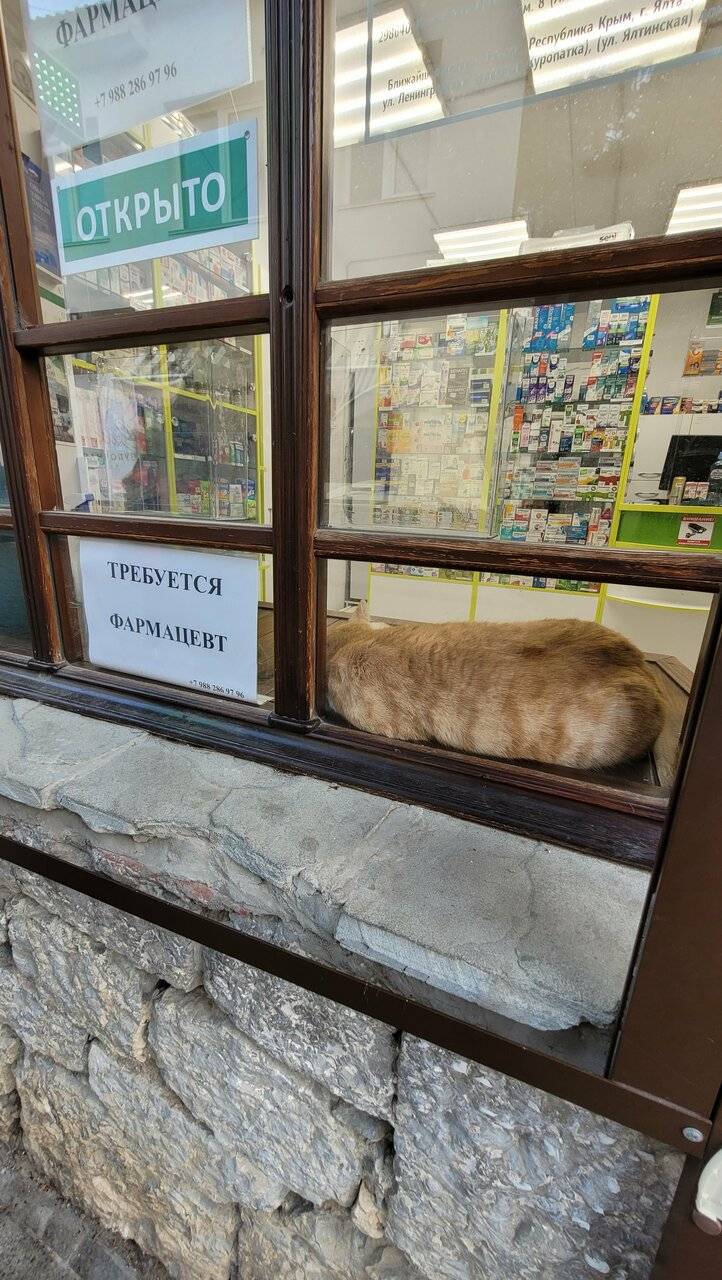 Фото Гостиницы Фамилия Делюкс Гурзуф 215